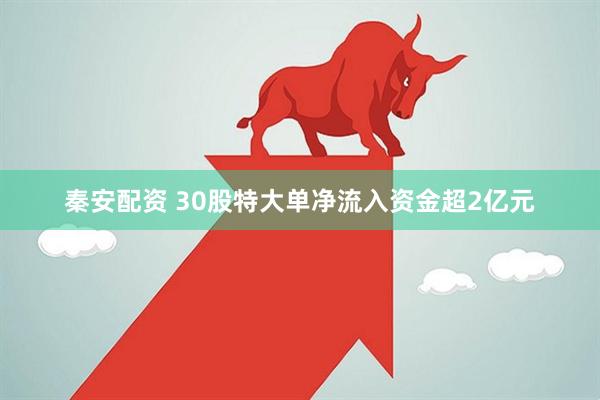 秦安配资 30股特大单净流入资金超2亿元
