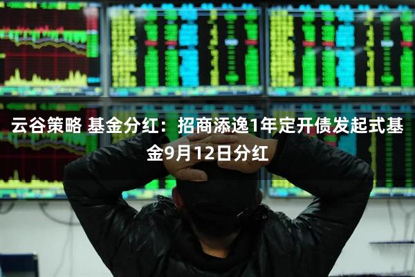 云谷策略 基金分红：招商添逸1年定开债发起式基金9月12日分红