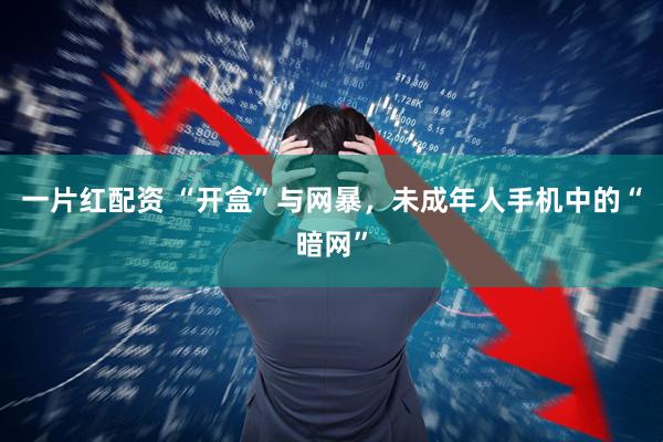 一片红配资 “开盒”与网暴，未成年人手机中的“暗网”
